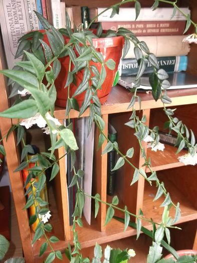 .........MERITA SA FIE........