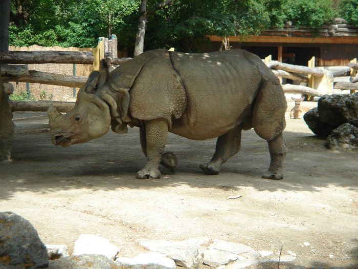 DSC01322 - ZOO VIENA