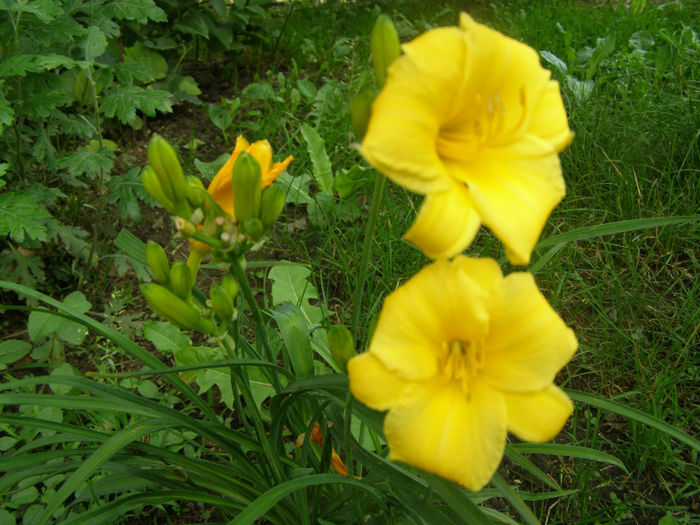 P1018347