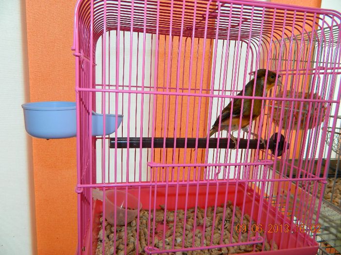 DSCN2929