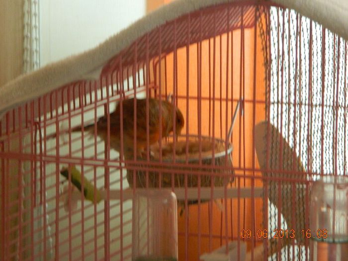 DSCN2946