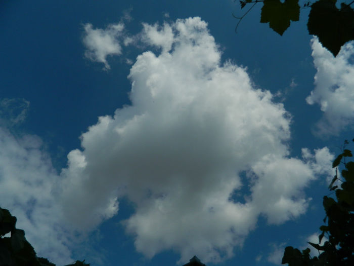 DSCN4159 - SPLENDORILE CERULUI 4