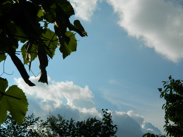 DSCN4169 - SPLENDORILE CERULUI 4