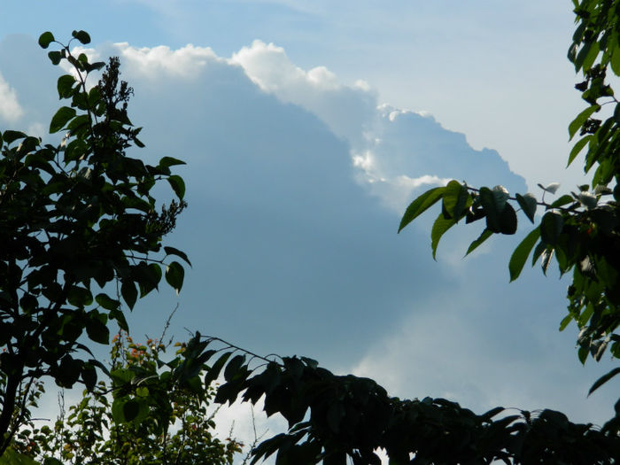 DSCN4170 - SPLENDORILE CERULUI 4