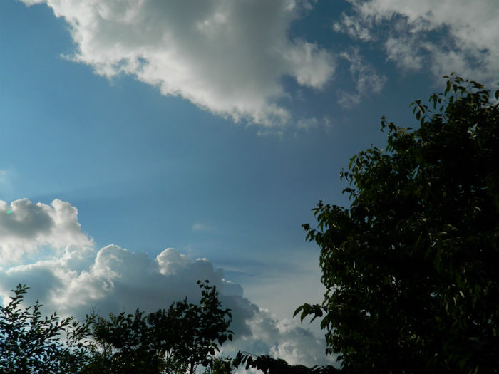 DSCN4179 - SPLENDORILE CERULUI 4