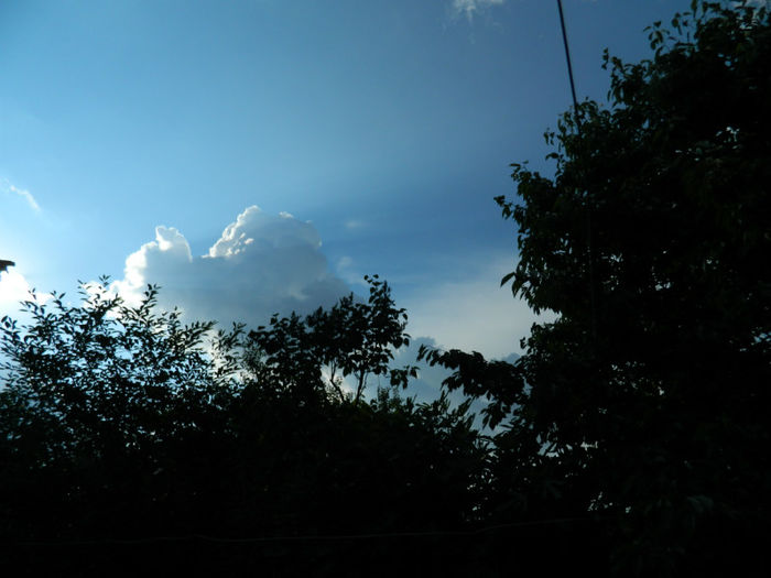 DSCN4197 - SPLENDORILE CERULUI 4