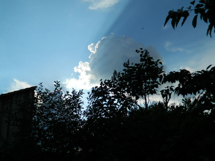 DSCN4209 - SPLENDORILE CERULUI 4