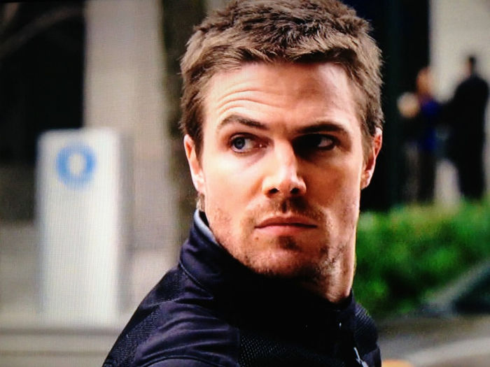 Stephen Amell (26)