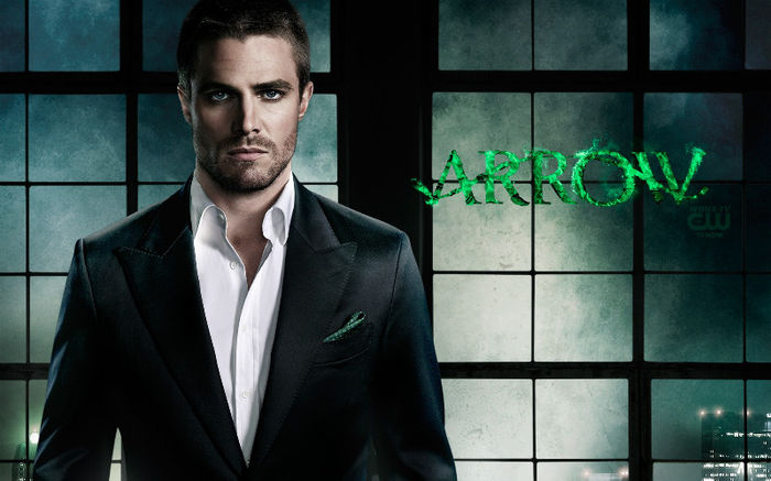 Stephen Amell (28)