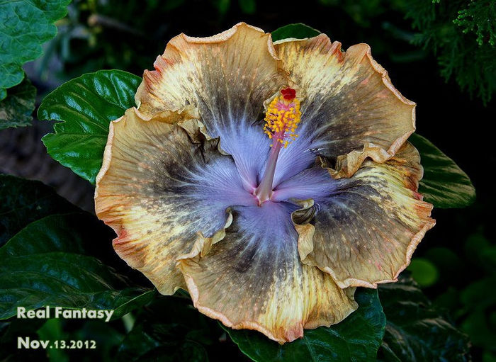 540090_209000442567755_1953632021_n