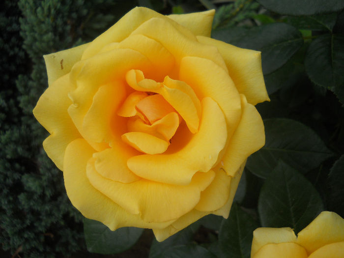 DSCN5678