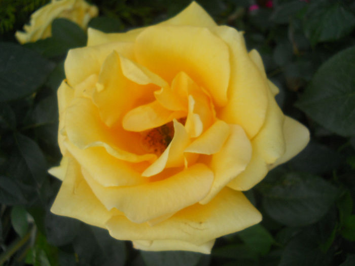 DSCN5680