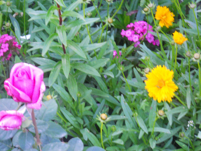 DSCN5802