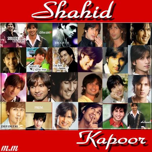 379745_135555673314029_2017445657_n - Shahid Kapoor