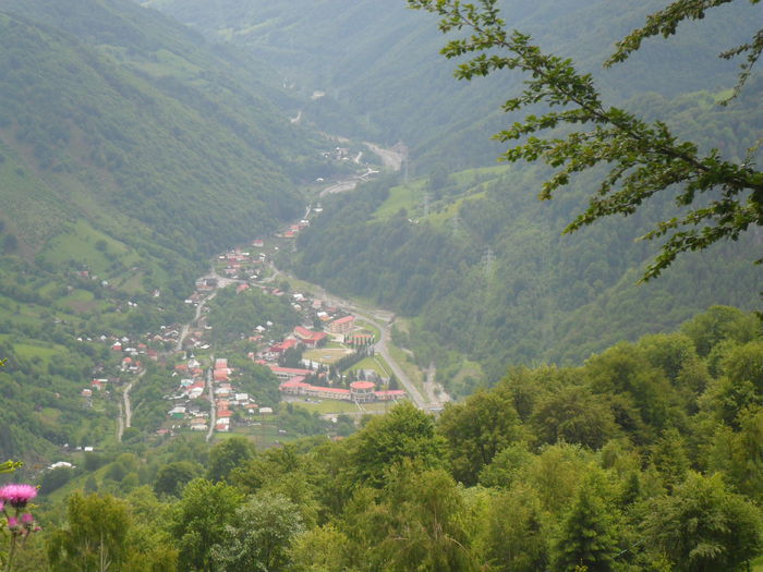 Ciungetul vazut de sus