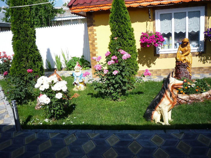 original 566 - AA foto 2013