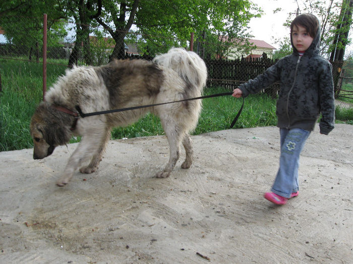 IMG_1042; dae cu veronica
