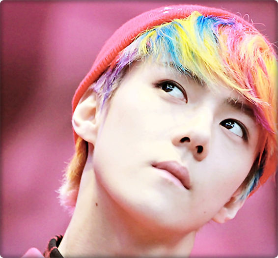 ▬ ▬ ▬ ▬ ▬ ▬ ▬ ▬ ▬ ▬ ▬ ▬