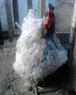 IMG_20130413_171957-1