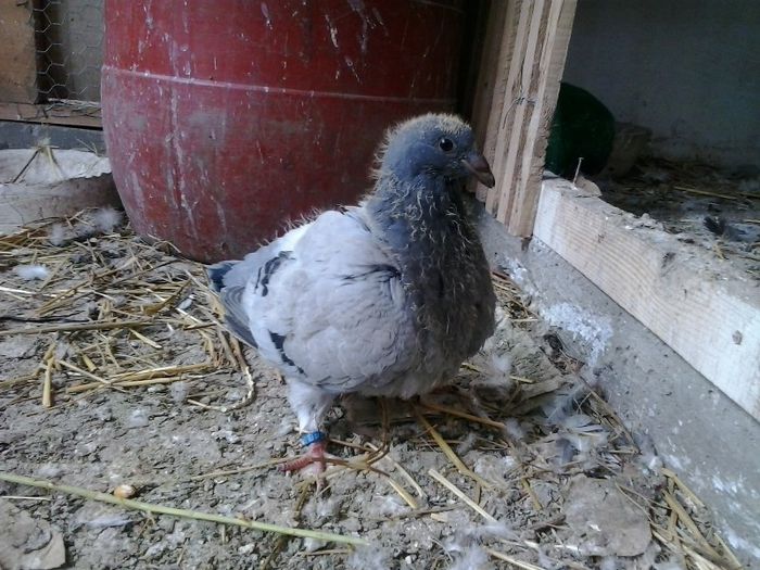 2013-06-02 15.42.16 - z PUI 2013