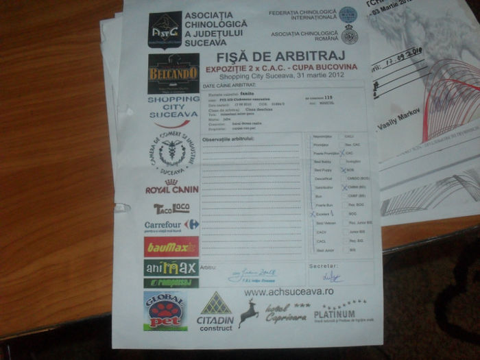 Fisa de arbitraj-Excelent - VAND Pui de Ciobanesc Caucazian VANDUTI TOTI