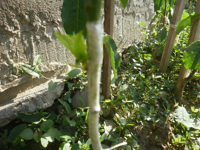 P6091069