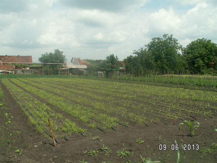 PICT0004
