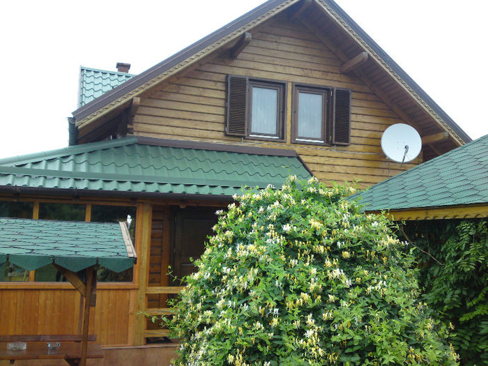 002 - Pozele anului 2013