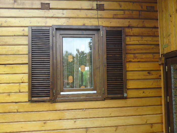 003 - Pozele anului 2013