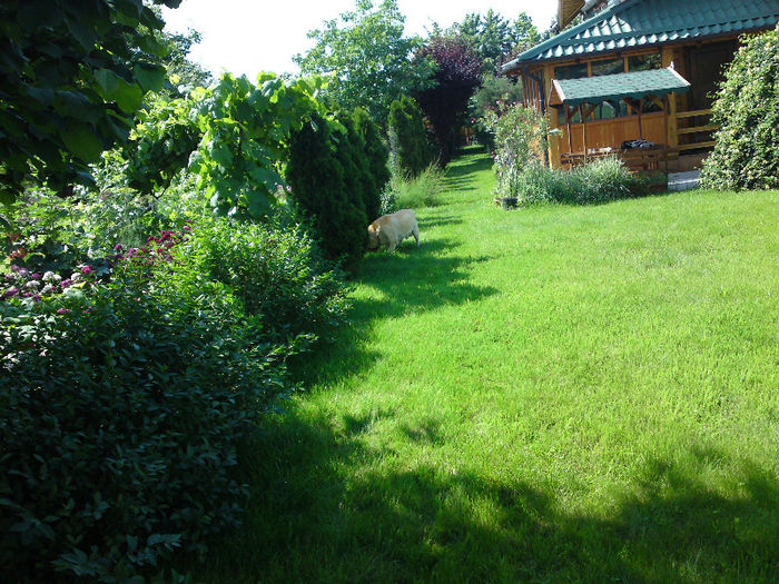 008 - Pozele anului 2013