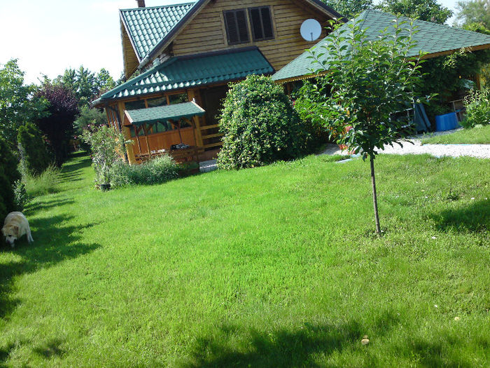009 - Pozele anului 2013