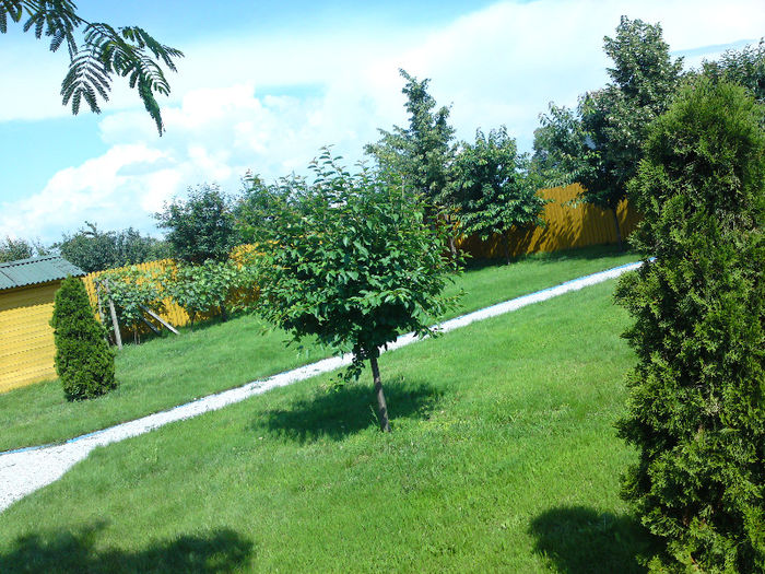 013 - Pozele anului 2013