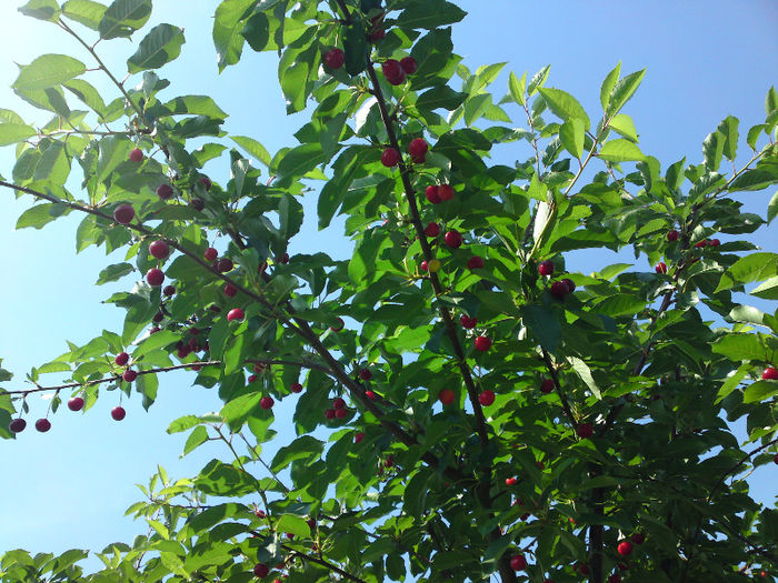 022 - Pozele anului 2013