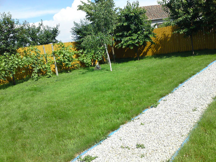 024 - Pozele anului 2013