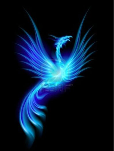 11351161-beautiful-blue-burning-phoenix-illustration-isolated-over-black-background