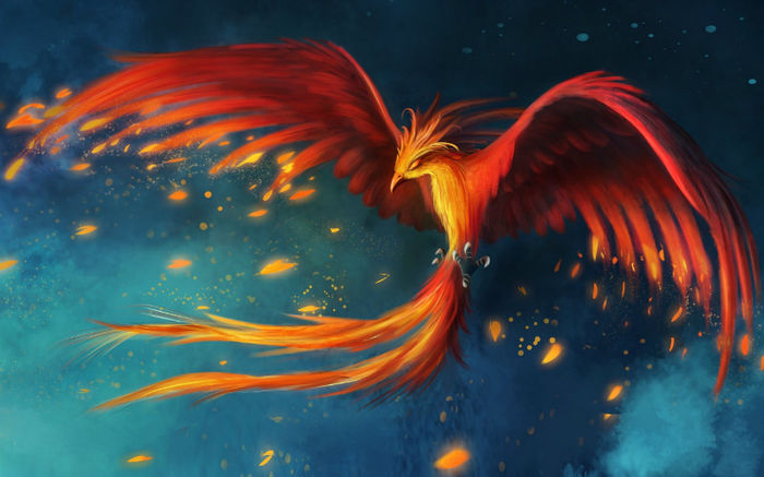 Bird-Phoenix-Flight-Art-Drawing- - Phoenix