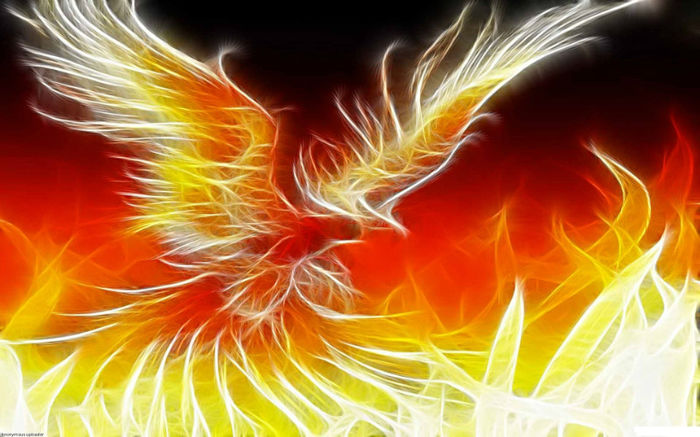 pheonix-bird-phoenix-open-walls-847566 - Phoenix