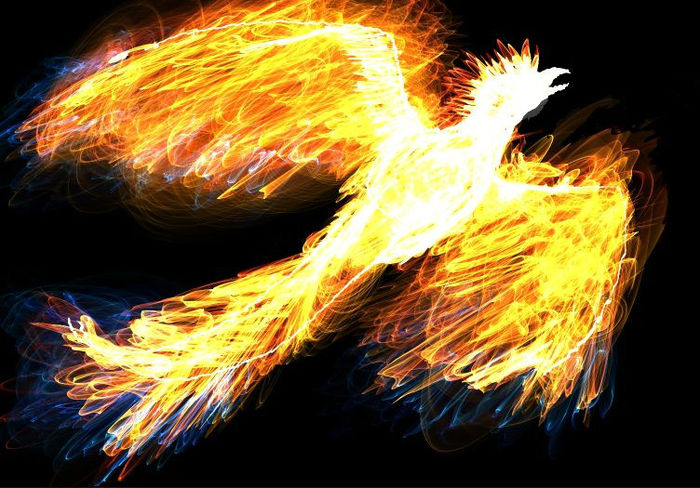 phoenix_fire_by_artisticpuppy-d38hu12 - Phoenix