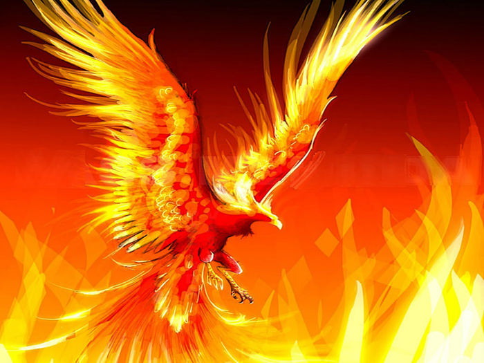 The-Fire-Phoenix - Phoenix