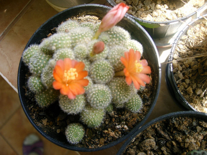IMAG0042