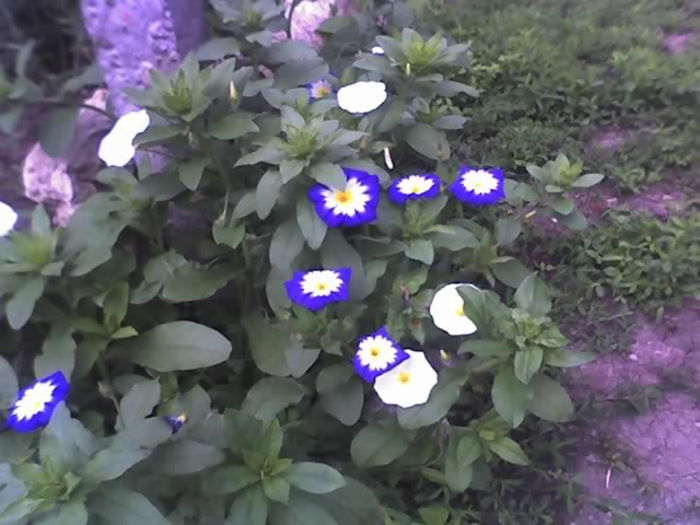 10-06-13_1105