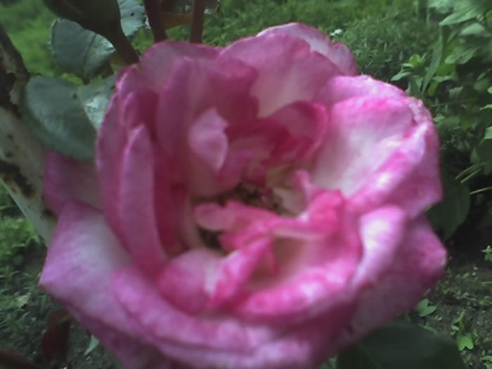 10-06-13_1108