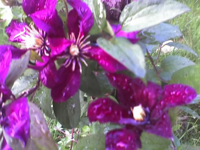 11-06-13_0711