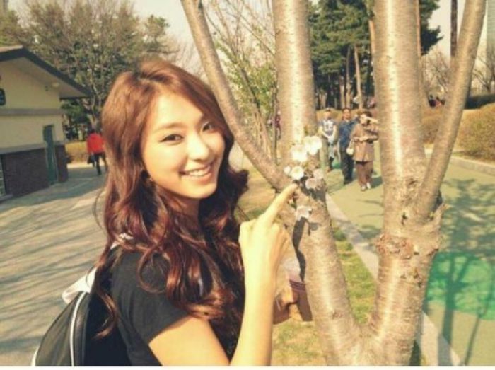 bora3 - Sistar