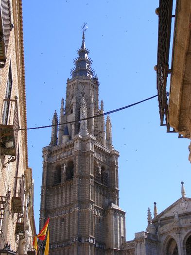 Toledo 31