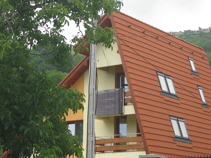 IMG_5541 - In natura