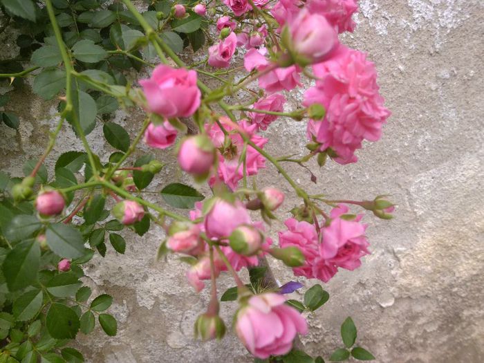 P1050055