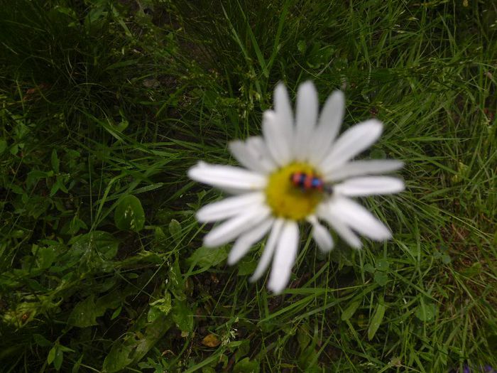 P1050046