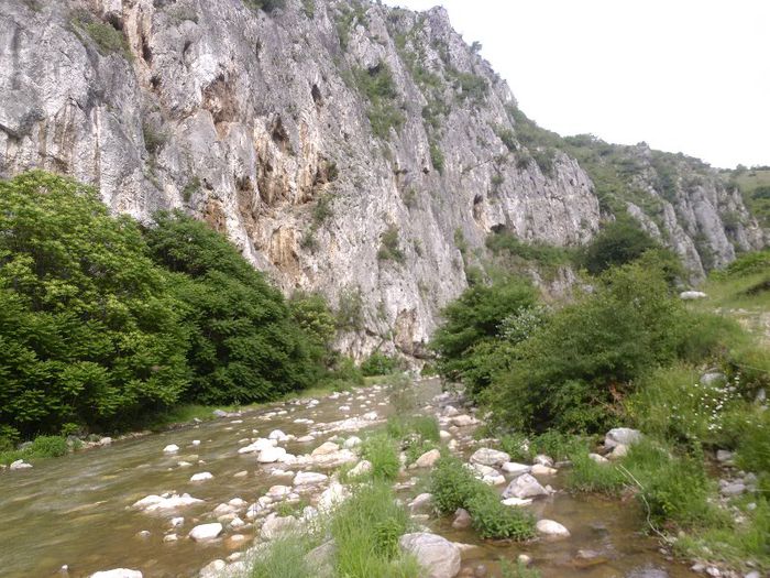 P1050126