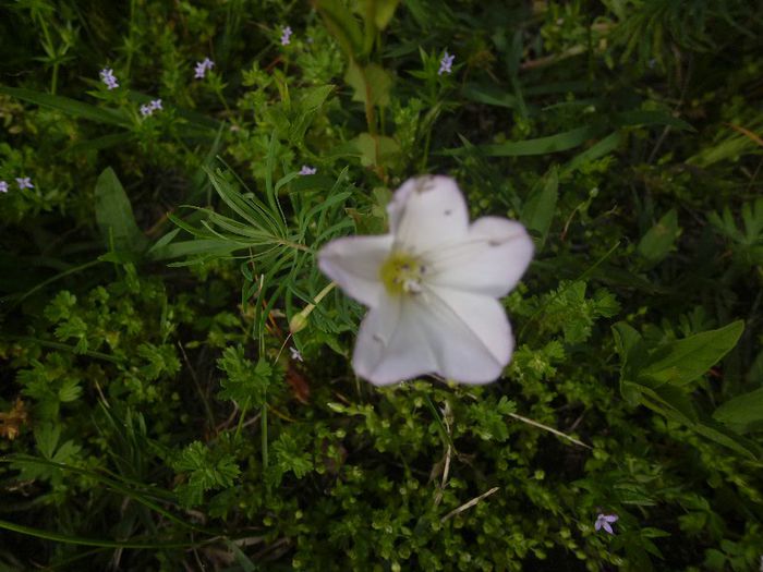 P1050124